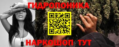Альфа ПВП Краснодар
